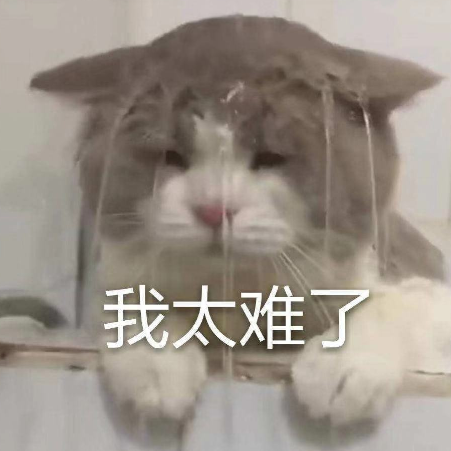 猫猫叹气