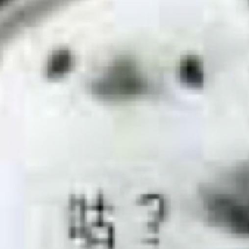 鸽子精
