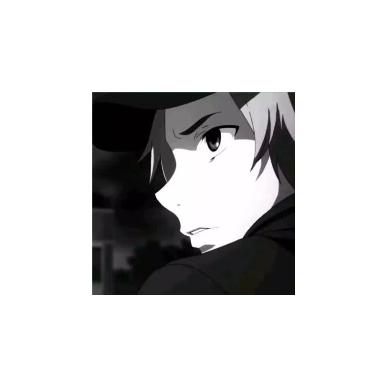 尘风