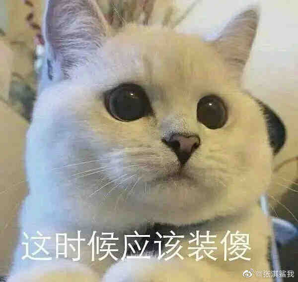 猫理兰