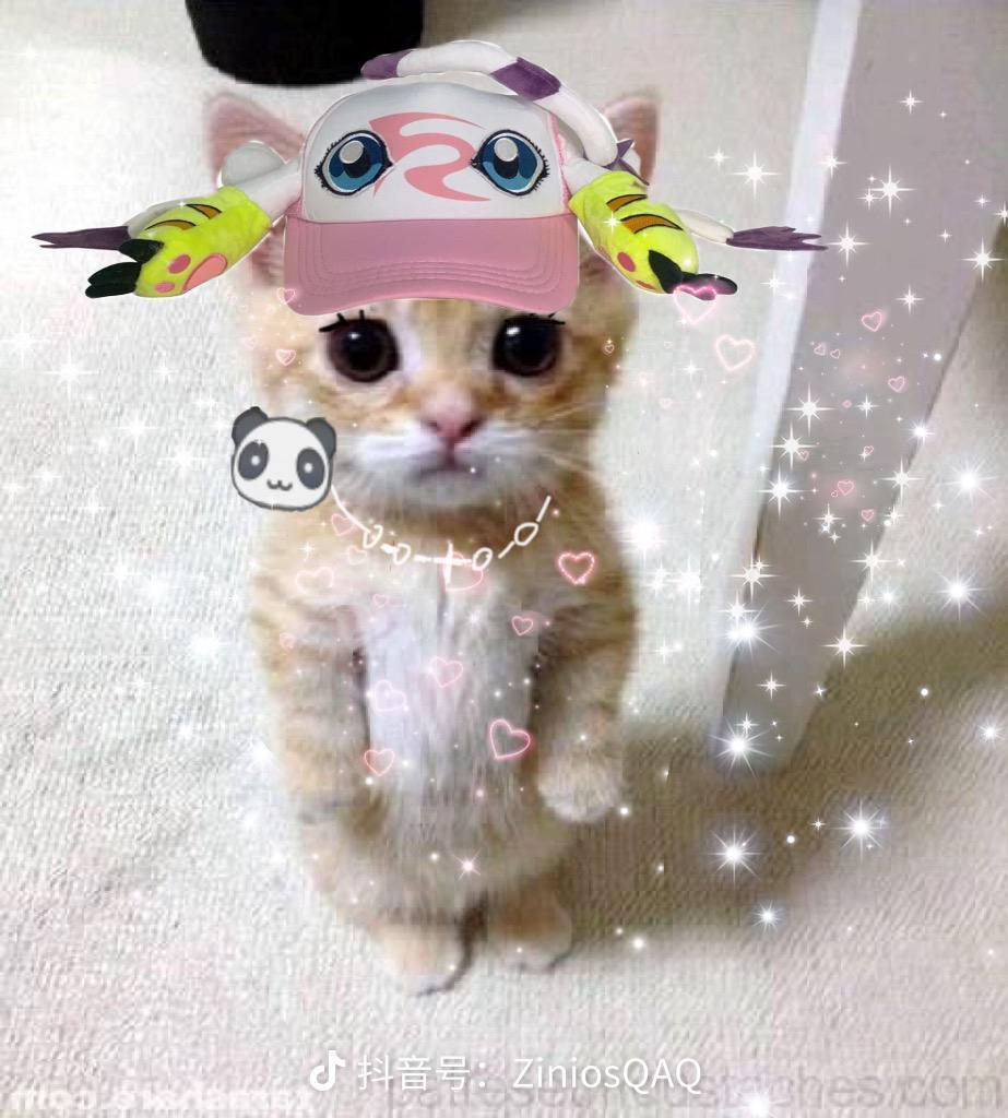 我想吃螺蛳粉