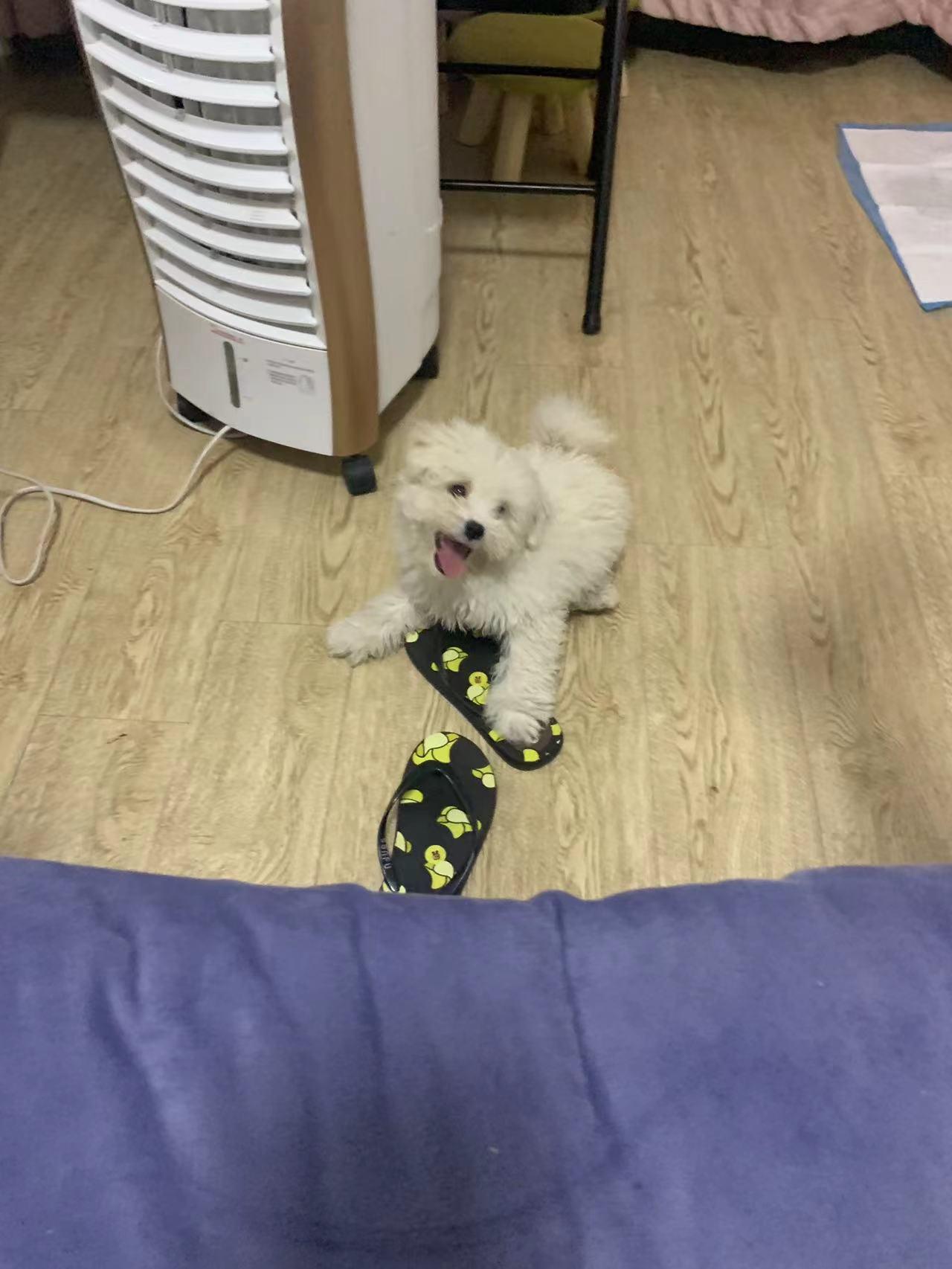 学业繁忙告辞。