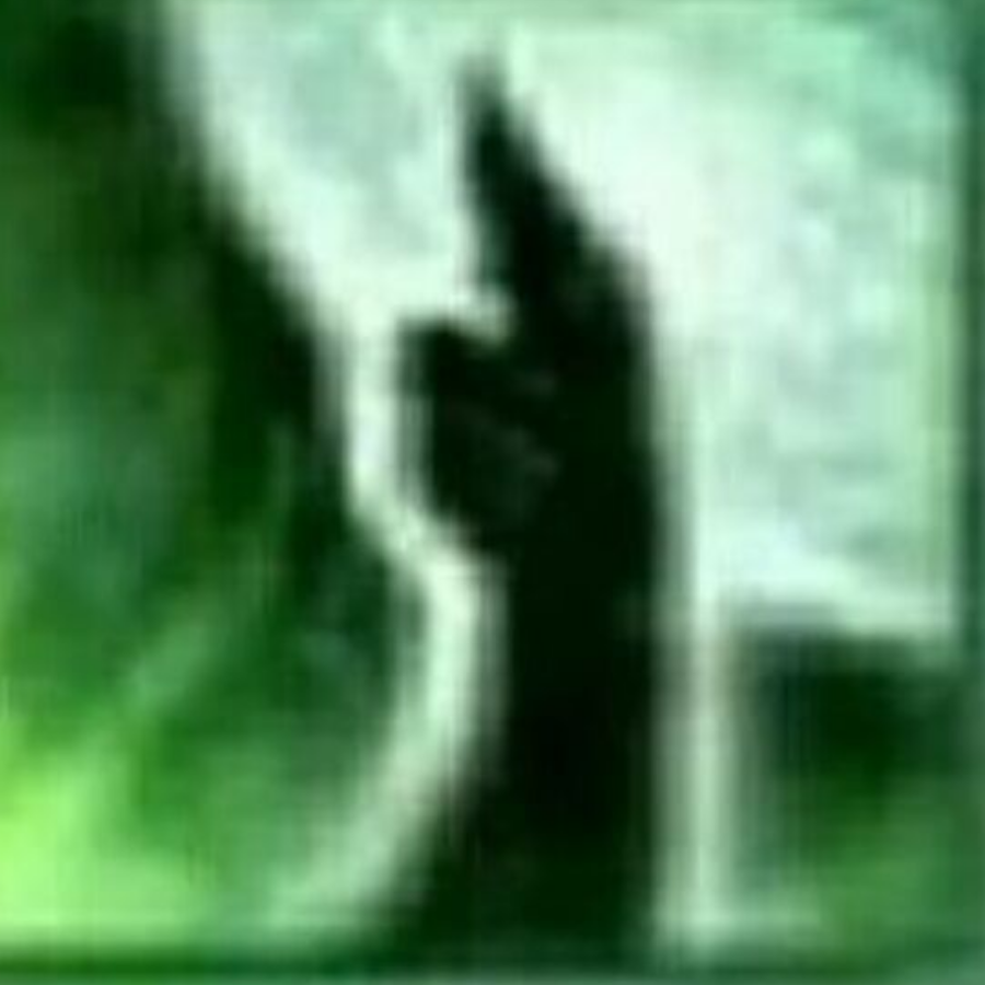 叶宝