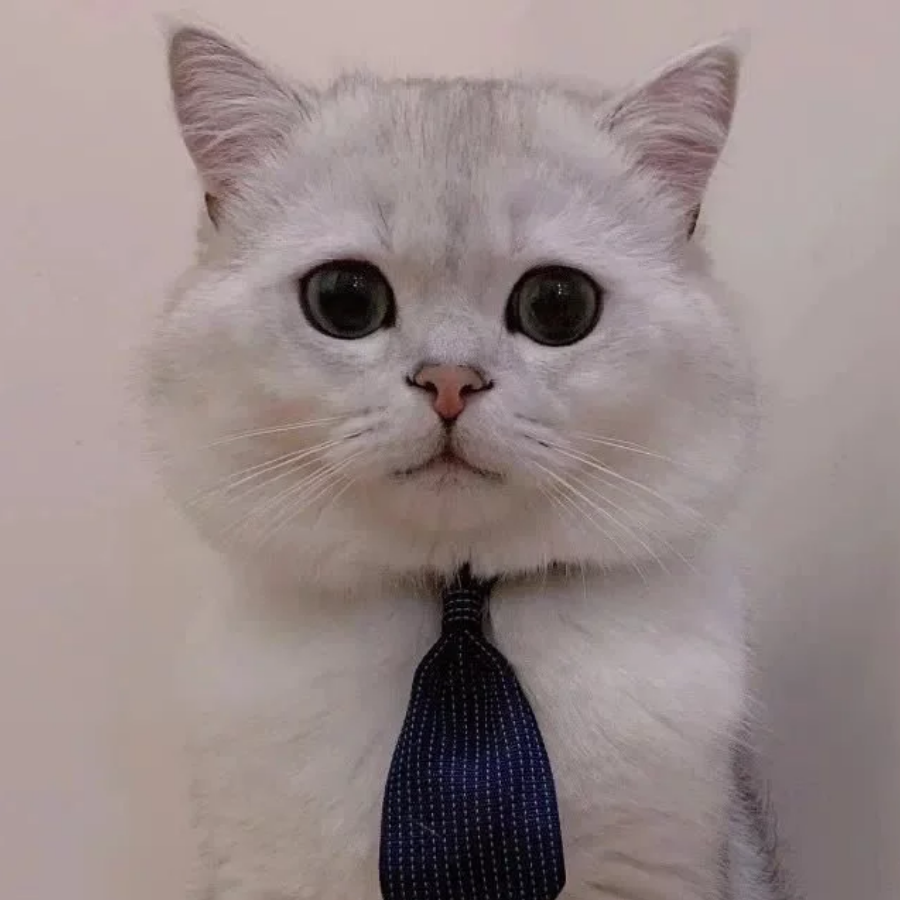 超级懒蛋乐星星