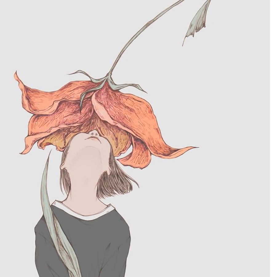 白鹿