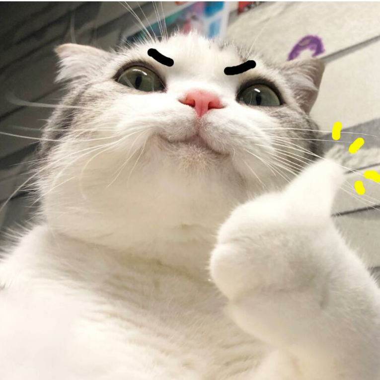℡＿＿ 青菜紫萝冬瓜