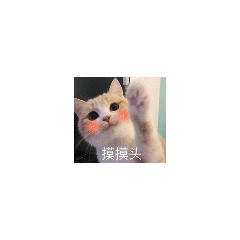 寒鸦想成为学霸