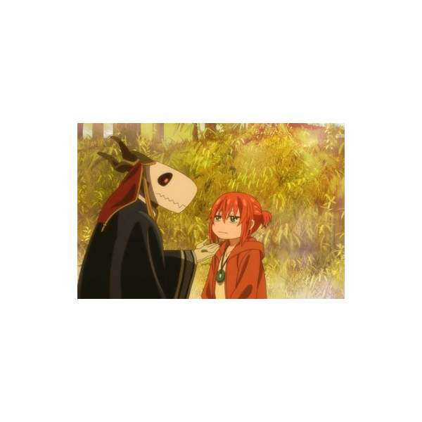 不是魔法师的魔法使