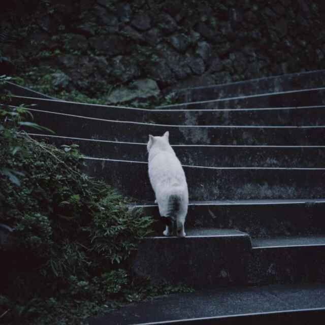你真可爱
