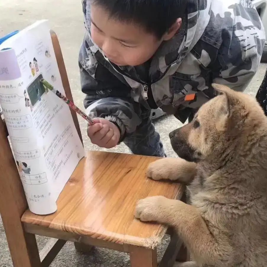 不归路
