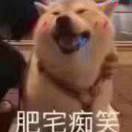 肥宅要减肥