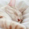 ~zZ