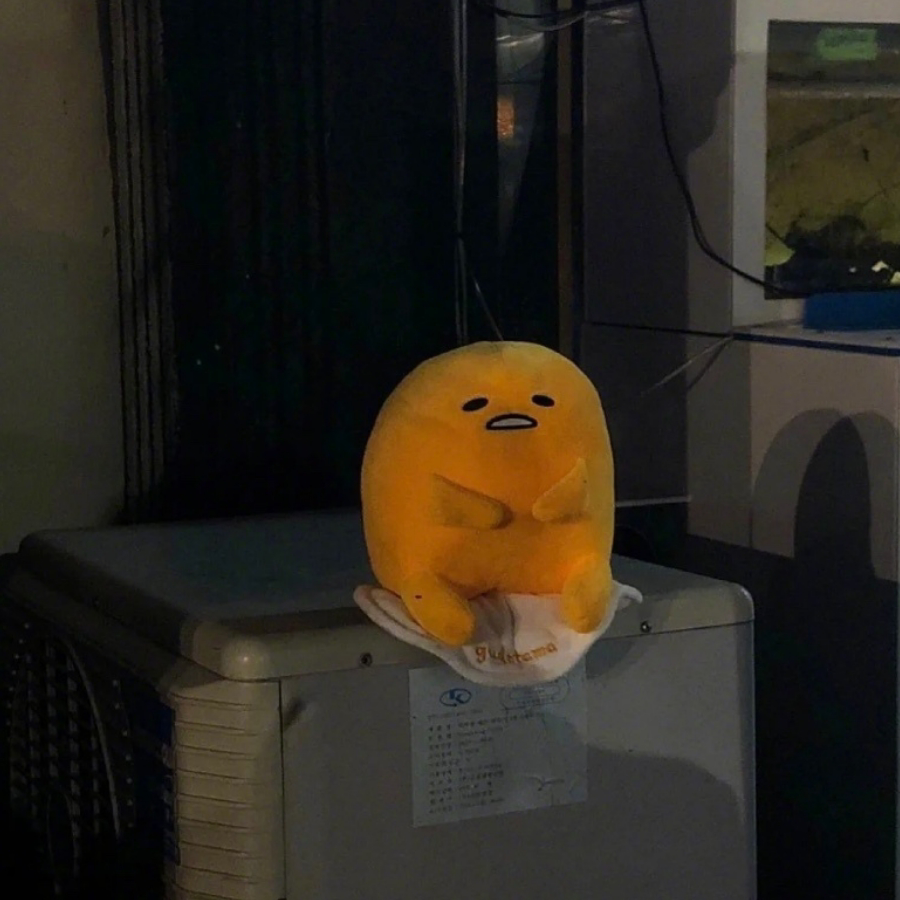 遍地月光
