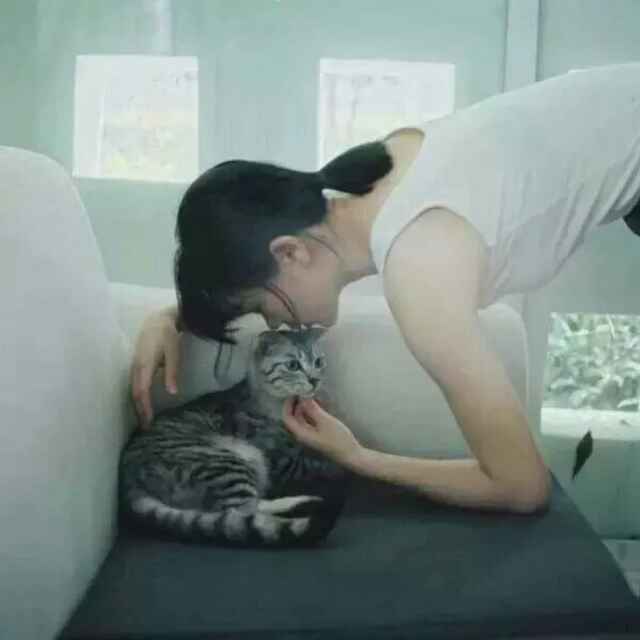 何蛋蛋