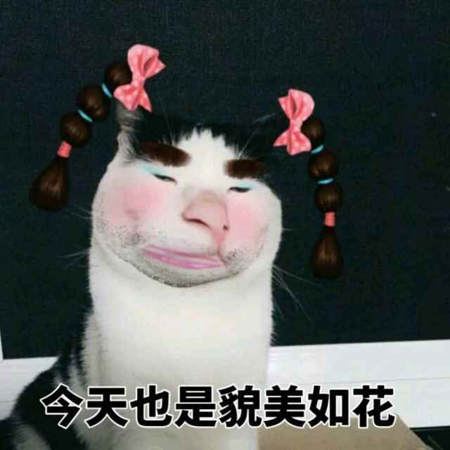真是可爱的人