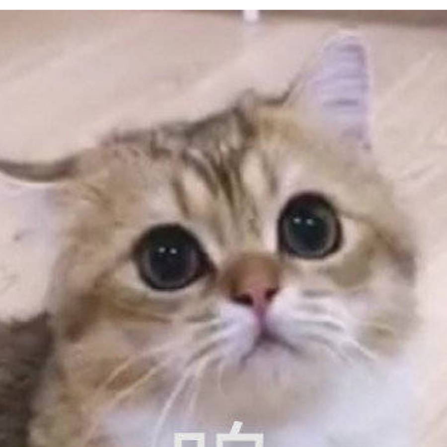 绝赞失智中