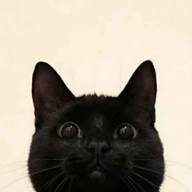 Alan.