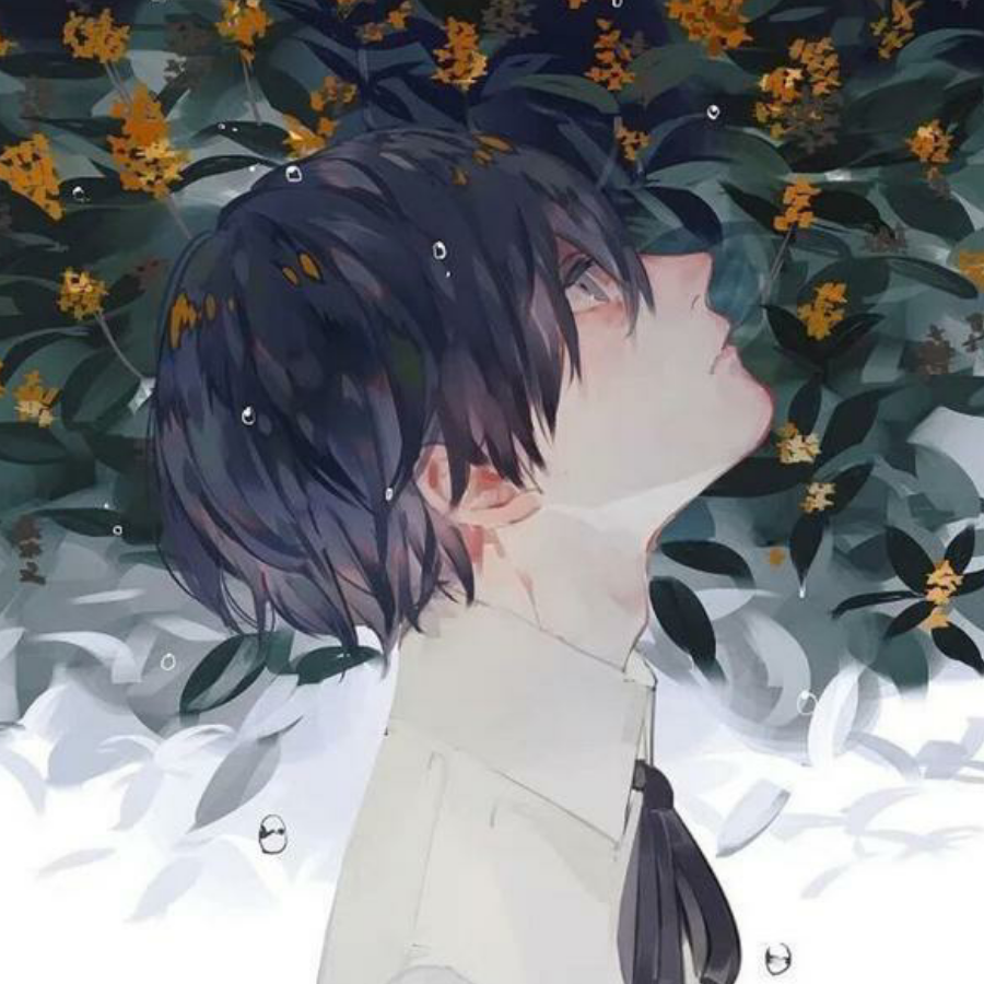 夏木柚子茶