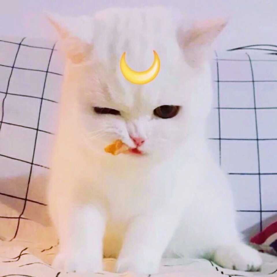 梨芽