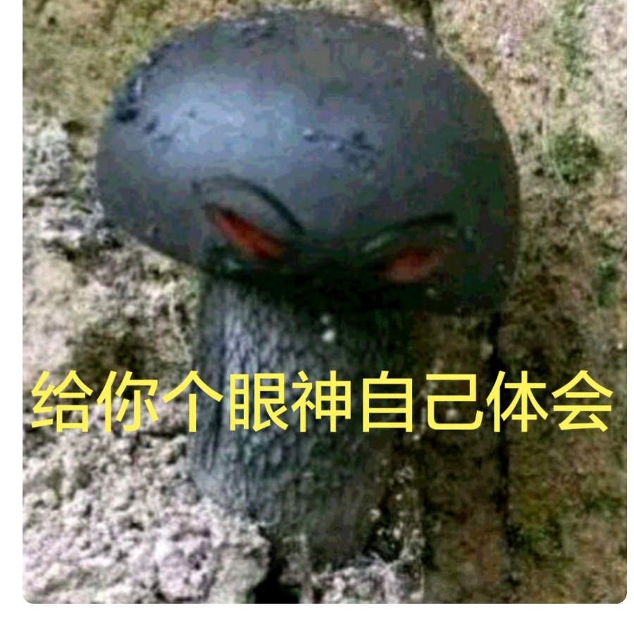 喜欢吃肠的毁灭菇