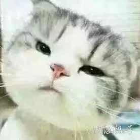 吃个糖压压惊
