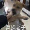 不想熬了