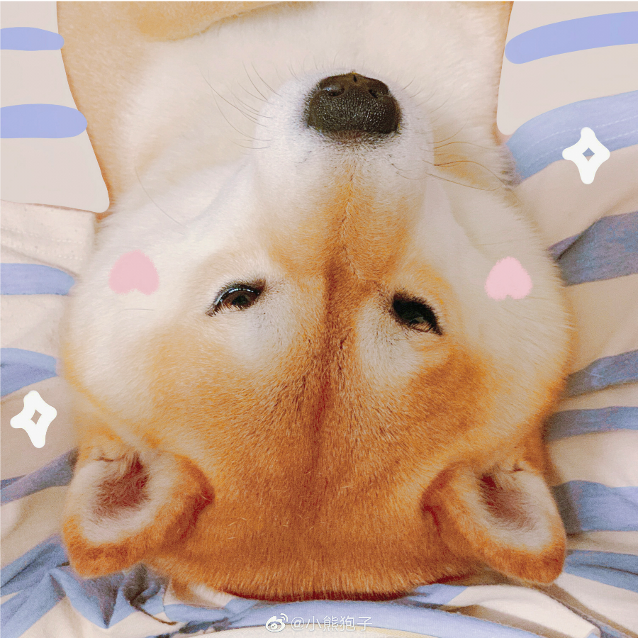 姓虎念作猫