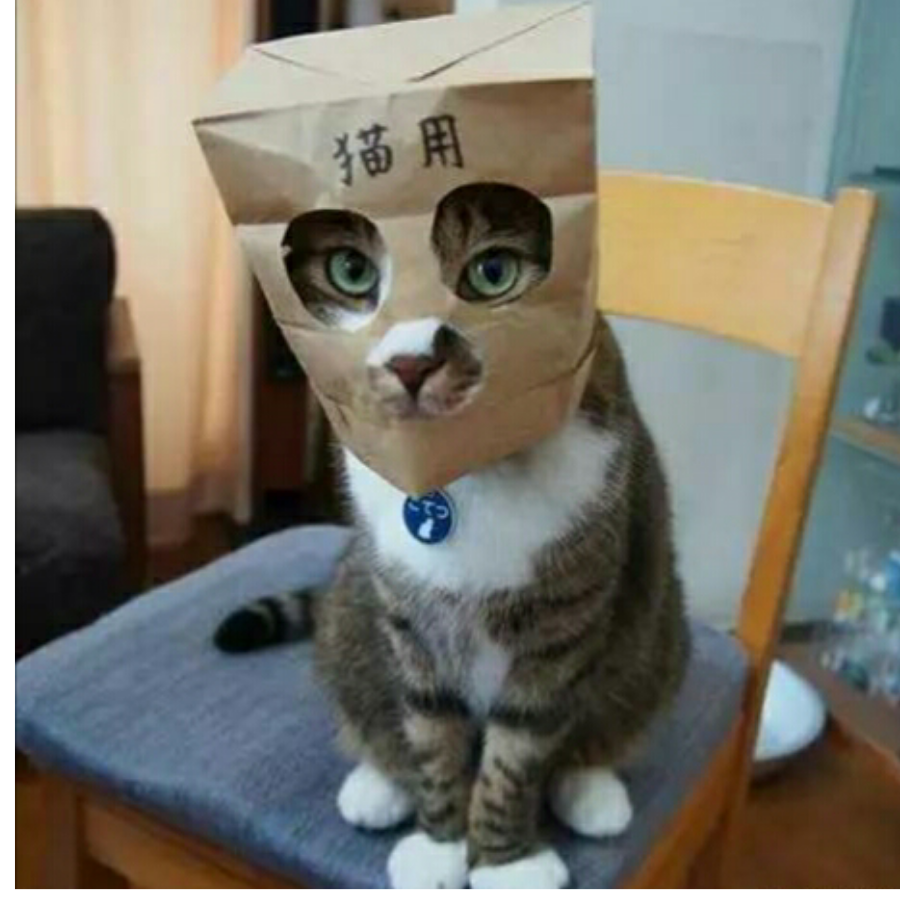 午茶
