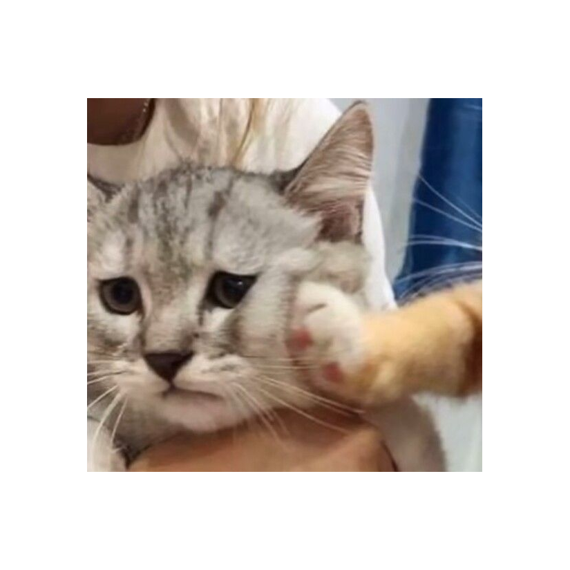 卡哇伊内