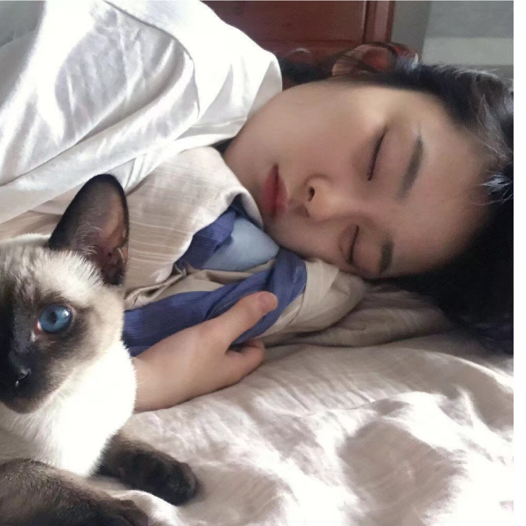 梨崽