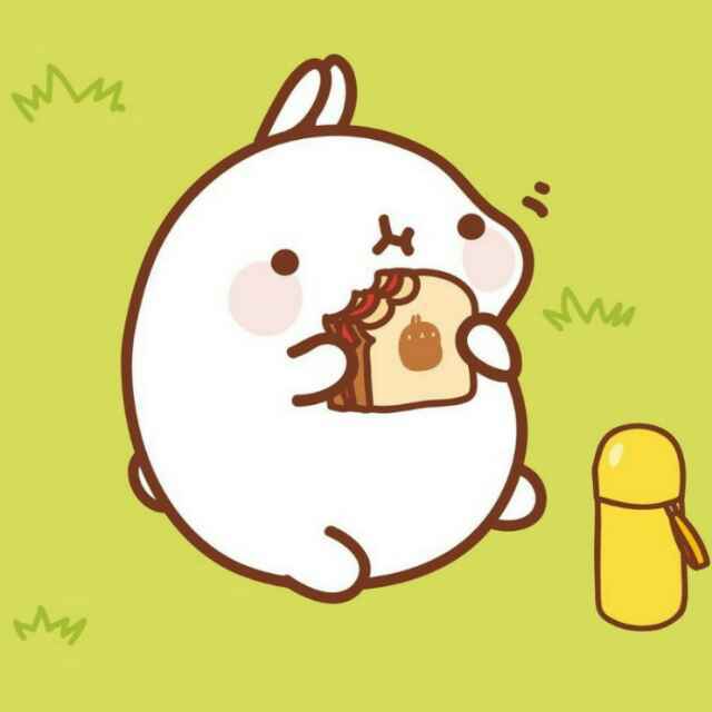 长胖点(#ﾟДﾟ)