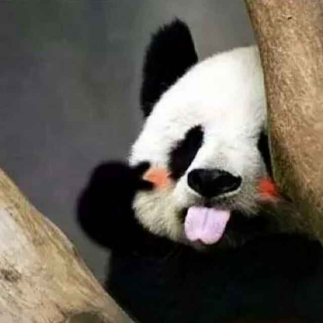 hy