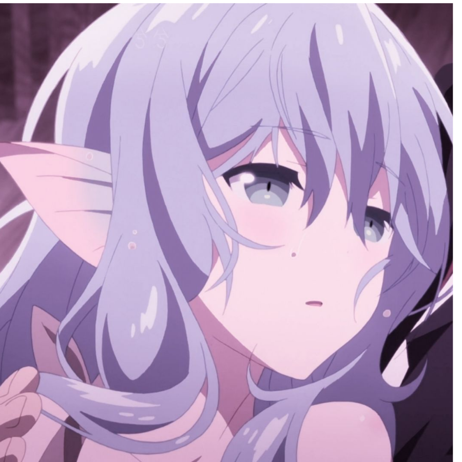 婠君
