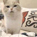 风云