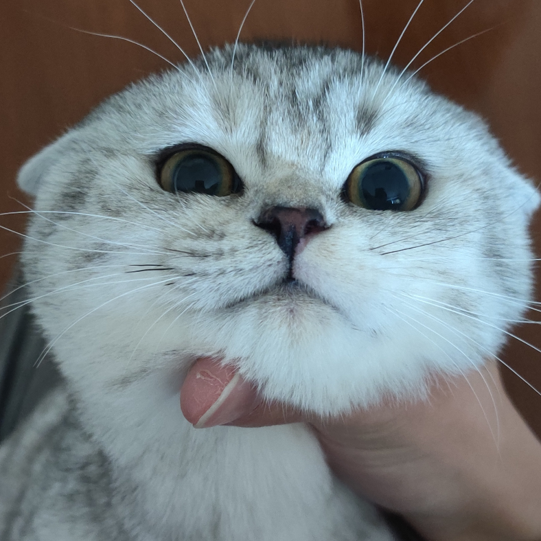 蓝钰