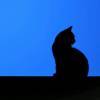 WISIX_