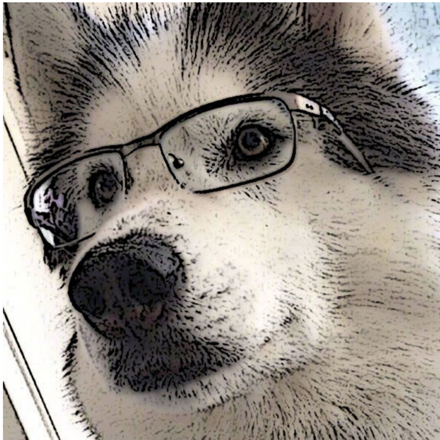 也许吧O狼