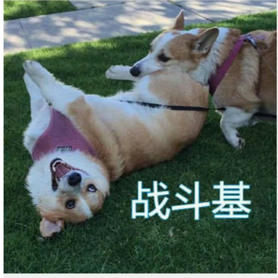 战斗基