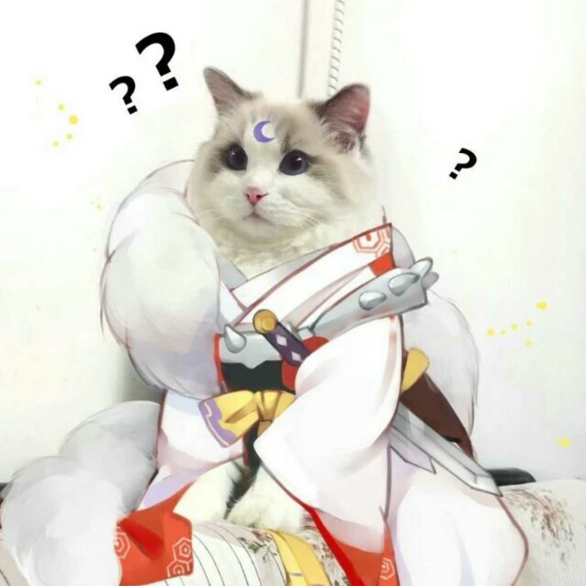 梅花喵