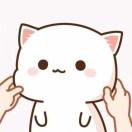 User20585792