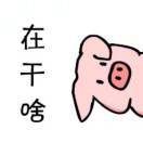 在干啥