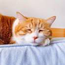 火星宇航员木子小屾