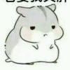 yi无忧