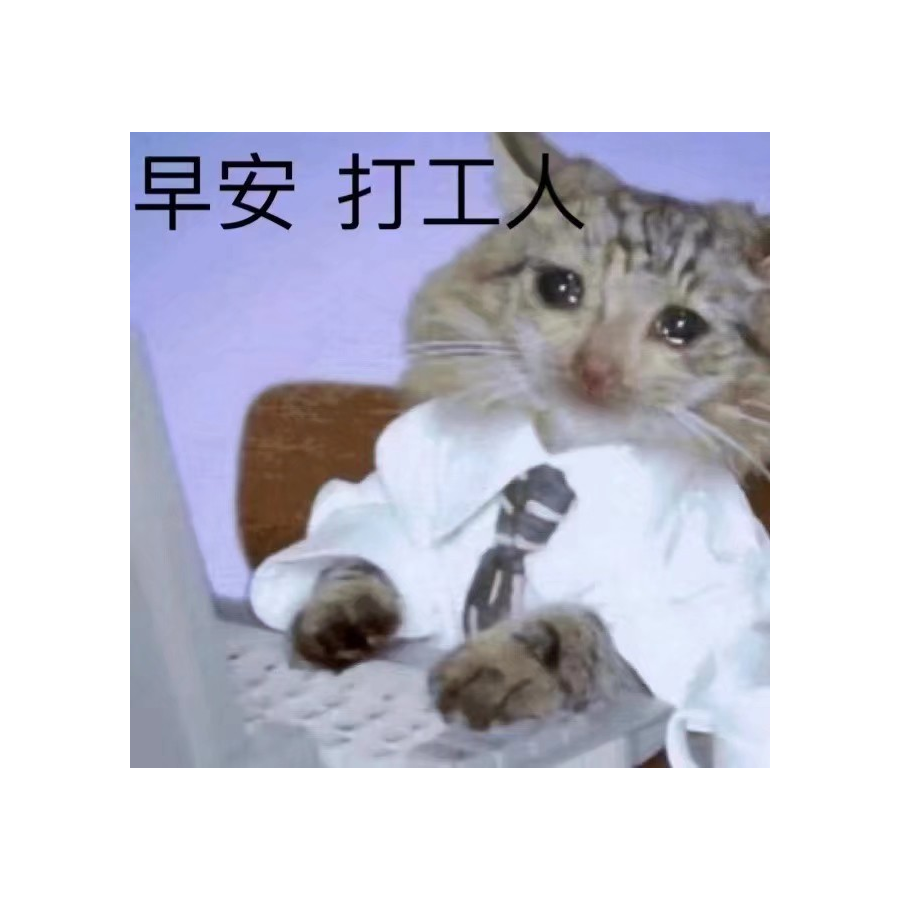 藤哙靚仔
