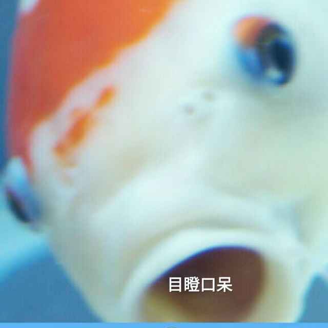 柯玖天
