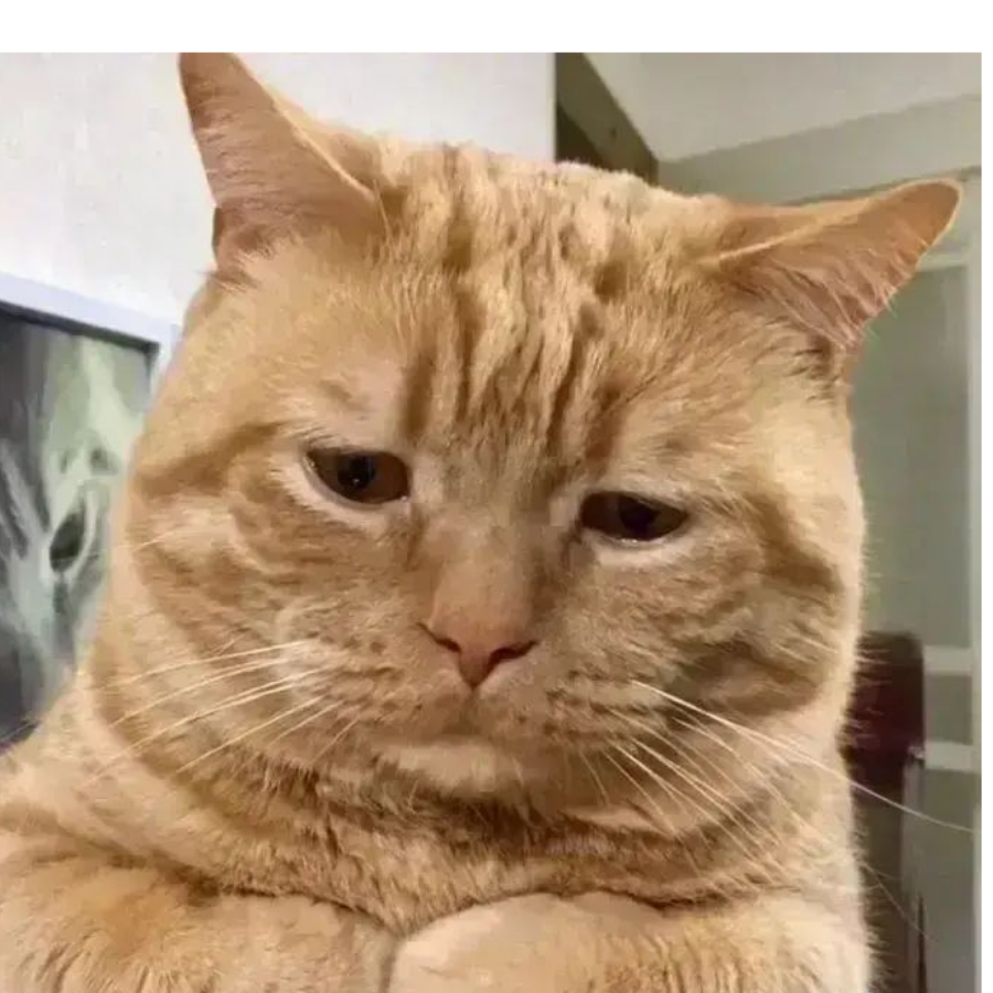 张三