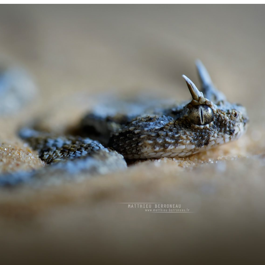 手机用户33174399