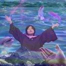 。。。。