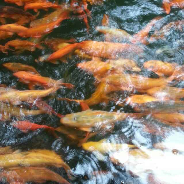 阵阵清风