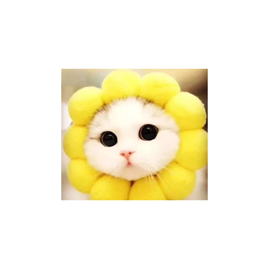 。